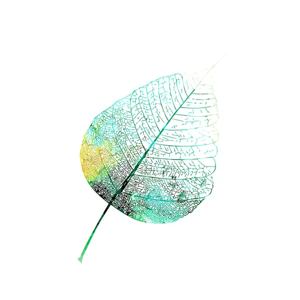 Hoja Colorida Otoño Ilustración Vectorial — Archivo Imágenes Vectoriales