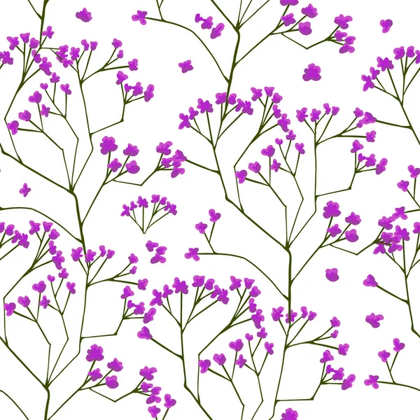 Gypsophila motif floral sans couture. Illustration vectorielle — Image vectorielle