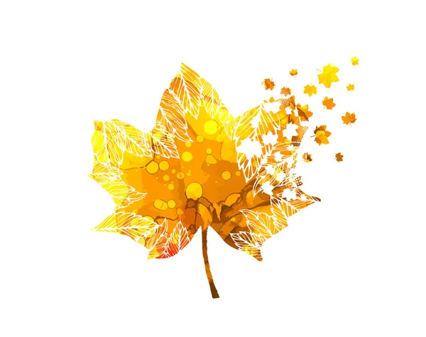 Feuille Automne Colorée Illustration Vectorielle — Image vectorielle