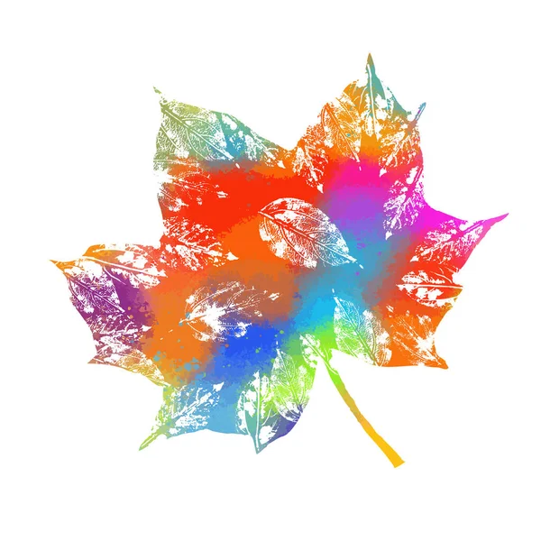 Hoja Colorida Otoño Ilustración Vectorial — Vector de stock