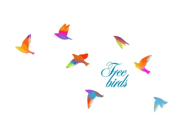 Bird Watercolor Flock Colorful Birds Vector — Stock Vector