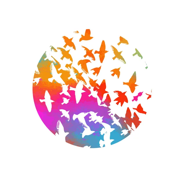鳥の水彩 カラフルな鳥の群れ ベクトル — ストックベクタ