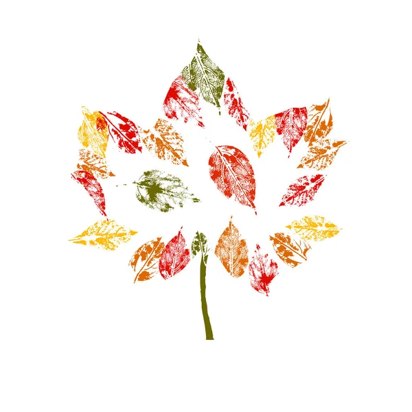 Kolorowy Jesienny Liść Ilustracja Wektora — Wektor stockowy