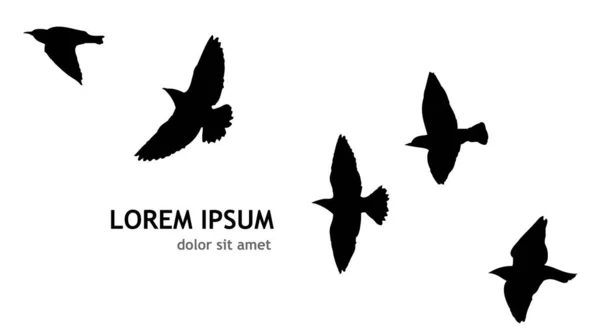 Ένα Σμήνος Από Ιπτάμενα Πουλιά Εικονογράφηση Διανύσματος — Διανυσματικό Αρχείο
