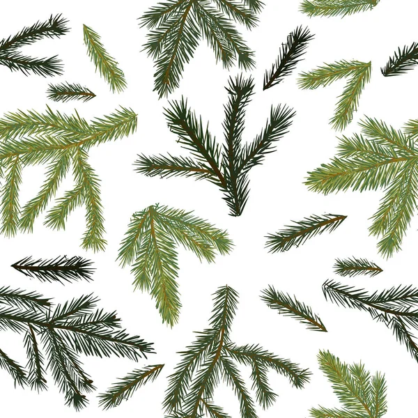 A set of cones and spruce branches. Vector