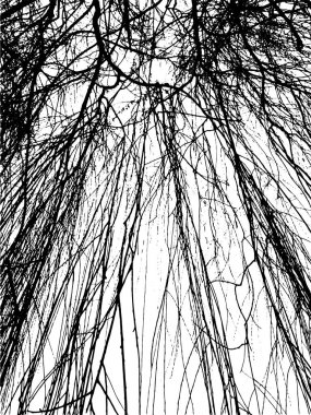 Çıplak ağaç dalları arka planda. Vektör illüstrasyonu