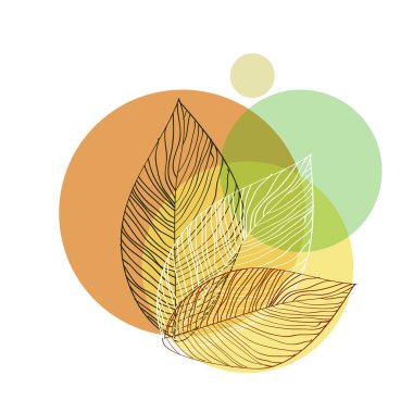 Renkli sonbahar yaprağı. Vektör illüstrasyonu