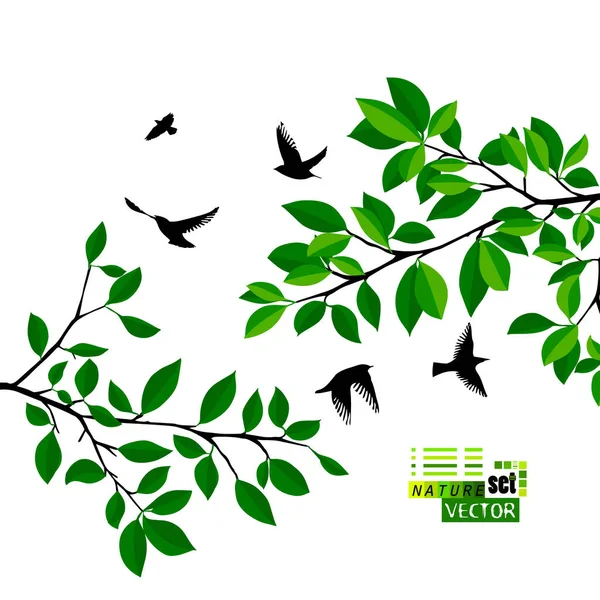 Flying Birds Tree Branch Vector — Stock Vector