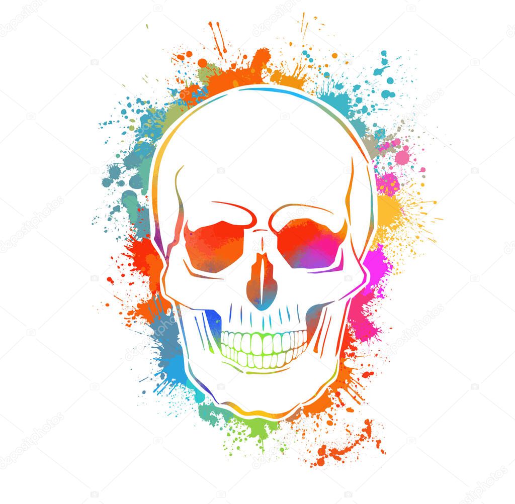 Two multi-colored skulls. Vector illustration