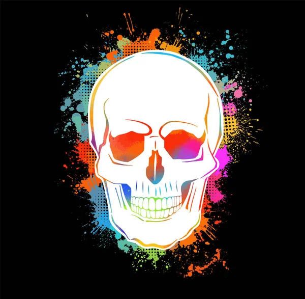 Dos Cráneos Multicolores Ilustración Vectorial — Vector de stock