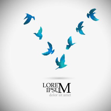 Kuş suluboya. Renkli bir kuş sürüsü. Vektör