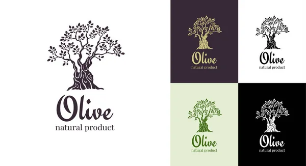 Modello di disegno del logo vettoriale dell'olivo per l'olio. Silhouette di ulivo — Vettoriale Stock