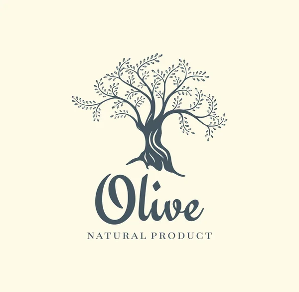 Modelo de design de logotipo de vetor de oliveira para óleo. Sílhueta de oliveira — Vetor de Stock