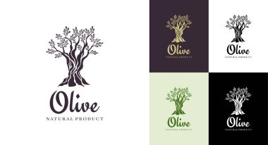 Zeytin ağacı vektör logo tasarım şablonu petrol. Ağaç zeytin siluet