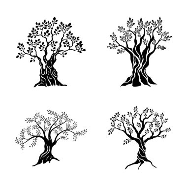 Zeytin ağaçları beyaz arka plan üzerinde izole Icon set siluet. Vektör işareti petrol. Premium kalite illüstrasyon logo tasarım kavramı sembol.