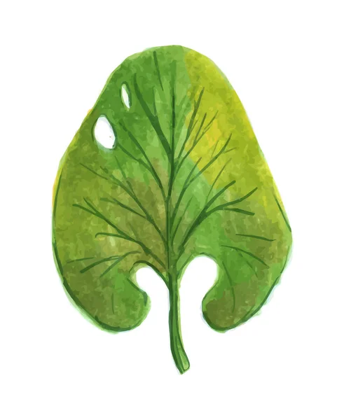 Vector design elemek településen zöld növényzet art lombozat gyűjteménye gyógynövények természetes levelek akvarell stílusú. Dekoratív szépség elegáns illusztráció design. — Stock Vector