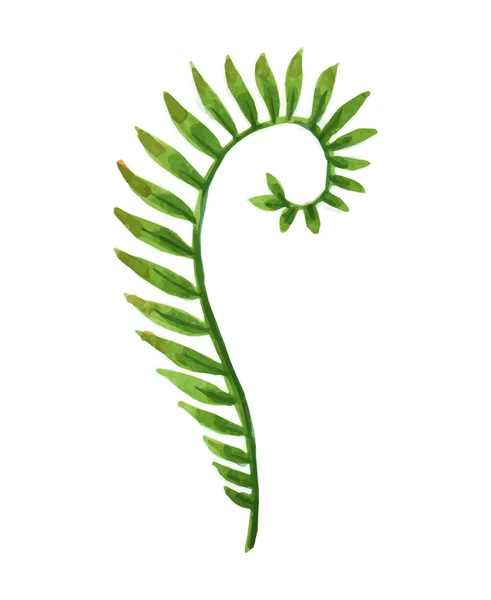 Векторные дизайнерские элементы устанавливают коллекцию зеленых зеленых листьев натуральных трав в стиле акварели. Элегантная иллюстрация к дизайну . — стоковый вектор
