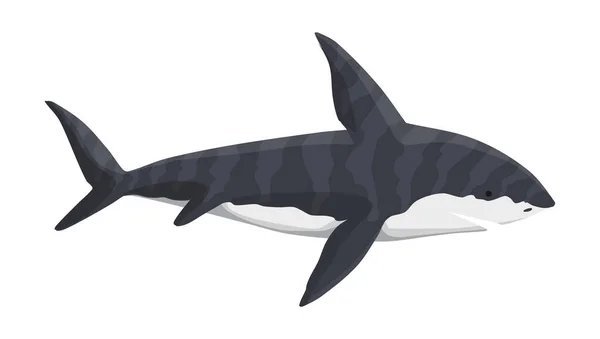 ตัวละครฉลามวาฬเวกเตอร์ สัตว์ทะเลใต้น้ํา นักล่าทะเลที่อันตรายมาก ภาพประกอบของสัตว์ป่าทางทะเล — ภาพเวกเตอร์สต็อก