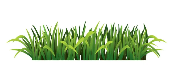绿草边界。新鲜的绿草。在透明的背景下被隔离。作为设计元素使用的矢量说明 — 图库矢量图片