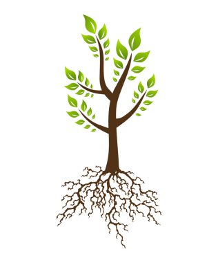Kökü olan soyut ağaç. Yeşillik kökü ve yaprakları olan ağaç. Şirket marka kimlik tasarım şablonu
