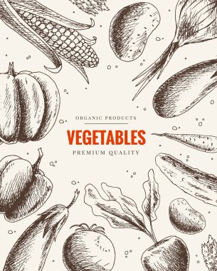Sebzeler elle çizilmiş. Klasik tarzda sağlıklı gıda çerçevesi. Pazar menüsü tasarımı. Organik gıda posteri. Vejetaryen organik ürünler.