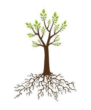 Kökü olan soyut ağaç. Yeşillik kökü ve yaprakları olan ağaç. Şirket marka kimlik tasarım şablonu