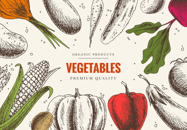 Sebzeler elle çizilmiş. Pazar menüsü tasarımı. Renkli organik gıda posteri. Doğrusal grafik. Klasik tarzda sağlıklı gıda çerçevesi — Stok Vektör