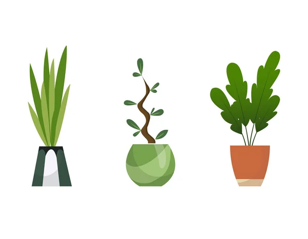 Collectie van binnenhuisplanten in potten. Huis decoratieve en bladverliezende planten in een vlakke stijl. Geïsoleerde elementen op witte achtergrond — Stockvector