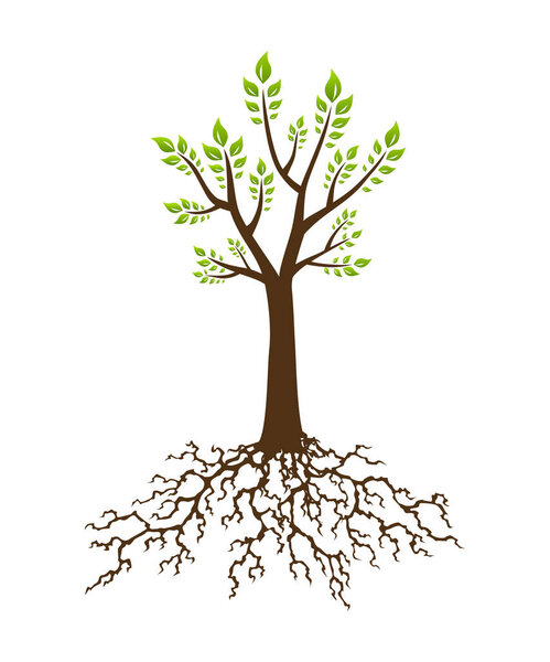 Абстрактное дерево с корнем. Дерево с пышными корнями и листьями. Шаблон дизайна фирменного стиля
