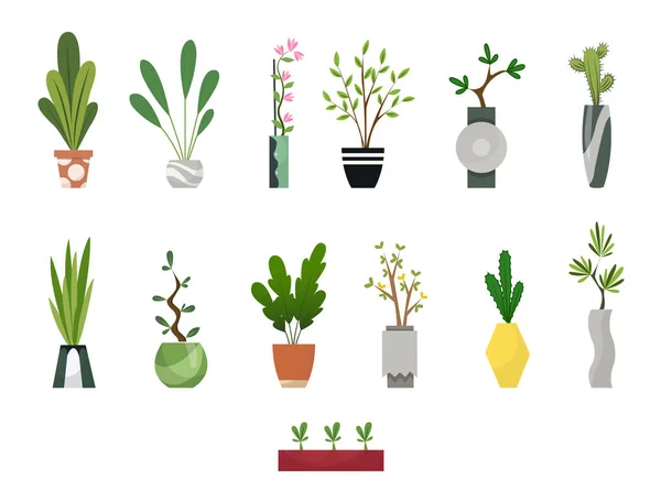 Coleção de plantas de casa indoor em vasos. Casa plantas decorativas e decíduas em um estilo plano. Conjunto de elementos para casa de design, sala ou escritório —  Vetores de Stock