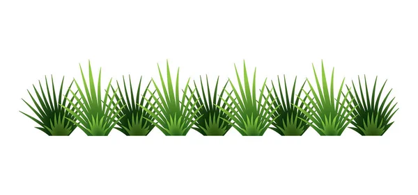 Groene grasgrens. Verse groene borstel gras. Geïsoleerd op transparante achtergrond. Vector Illustratie voor gebruik als design element — Stockvector