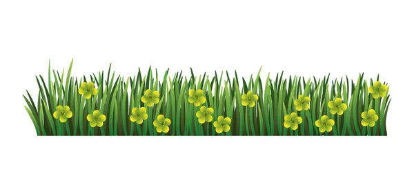 Green grass border. Fresh green floral grass. Isolated on transparent background. Vector Illustration for use as design element — Stock Vector