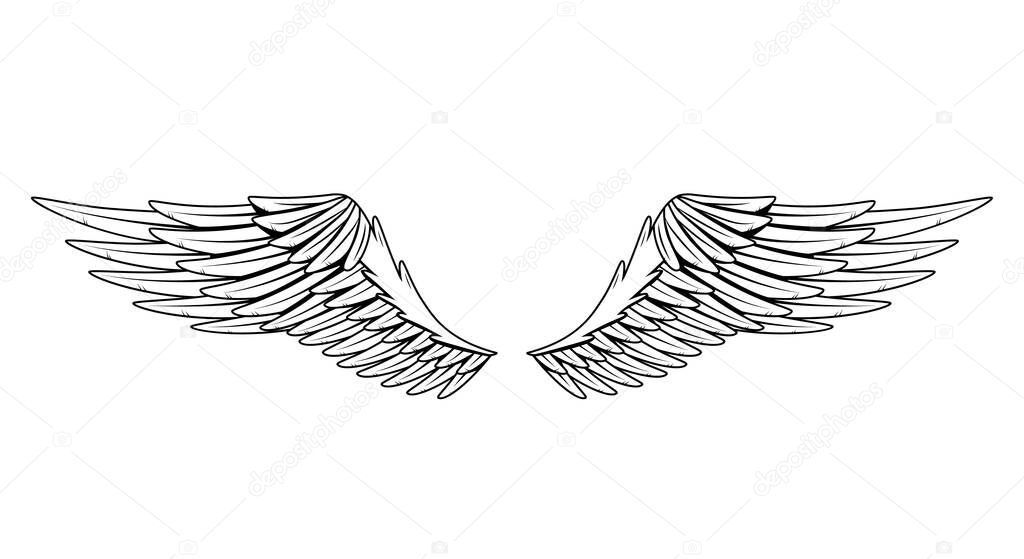 Vintage heraldic wings. Monochrome stylized birds wings. Design elements in coloring style. Abstract sketch