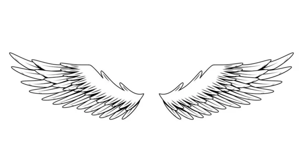 Вінтажні геральдичні крила. Монохромне стилізоване крило птахів. Дизайн елементів у стилі розмальовки. Абстрактний ескіз — стоковий вектор