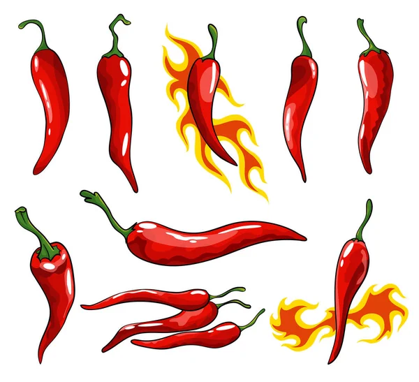 Collection of hand drawn chili peppers. Super hot red chilli peppers. Red isolated spicy mexican peppers on white background. Natural healthy food. Spicy ingredient — Stock Vector