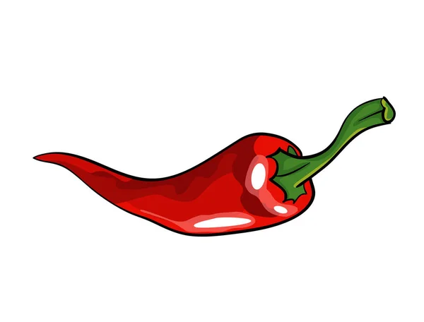 Hand drawn chili pepper. Super hot red chilli pepper. Red chilli pepper on white background. Natural healthy food. Spicy ingredient — Stock Vector