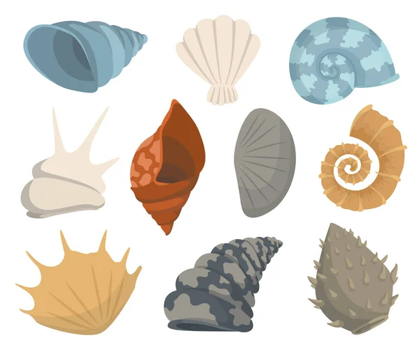 Colorful tropical sea shells underwater icon collection. Marine set cute stickers on the white background. Vector illustration. Perfect for invitations, greeting cards posters banners and flyer — Stock Vector