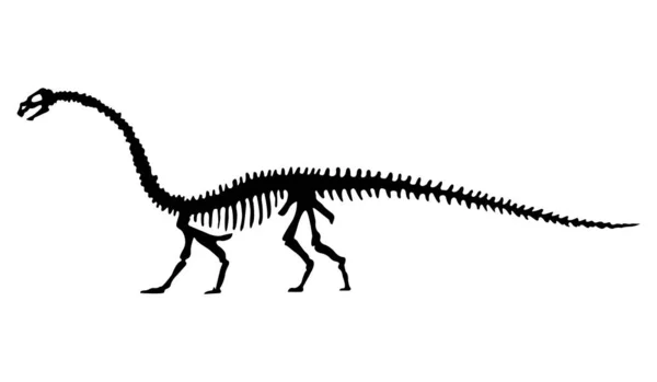 Vectorsilhouet van dinosaurusskelet. Met de hand getekend dinoskelet. Dinosaurusbotten, fossielen tentoonstellen in het museum — Stockvector