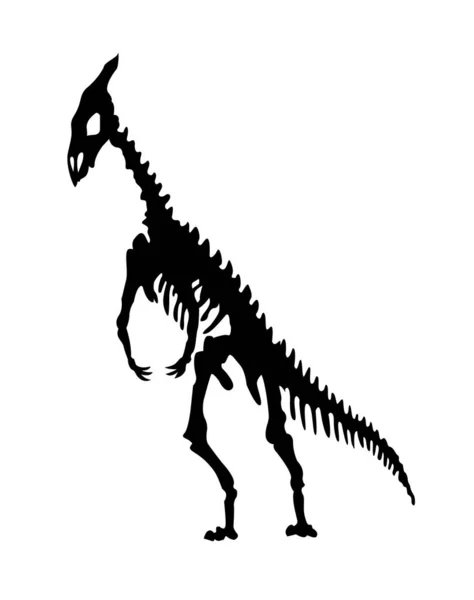 Vektorsilhouette eines Dinosaurier-Skeletts. Handgezeichnetes Dino-Skelett. Dinosaurierknochen, Fossilien im Museum — Stockvektor