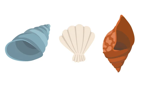 Colorful tropical sea shells underwater icon collection. Marine set cute stickers on the white background. Vector illustration. Perfect for invitations, greeting cards posters banners and flyer — Stock Vector