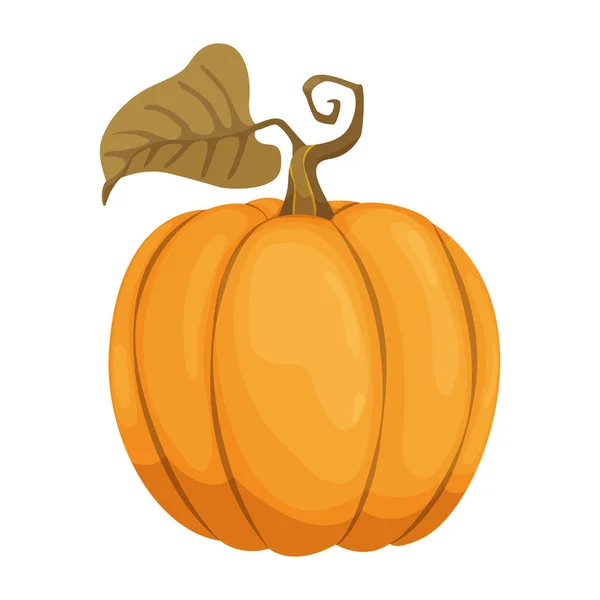 Icono de calabaza de dibujos animados. Calabaza de otoño naranja y amarilla. Gran calabaza vegetal. Cosecha de la granja vegetal fresca y sabrosa — Archivo Imágenes Vectoriales