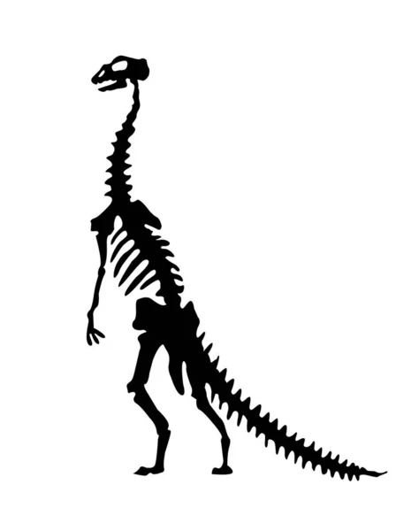 Векторный силуэт скелета динозавров. Ручной скелет динозавра. Кости динозавров, экспонаты окаменелостей в музее — стоковый вектор