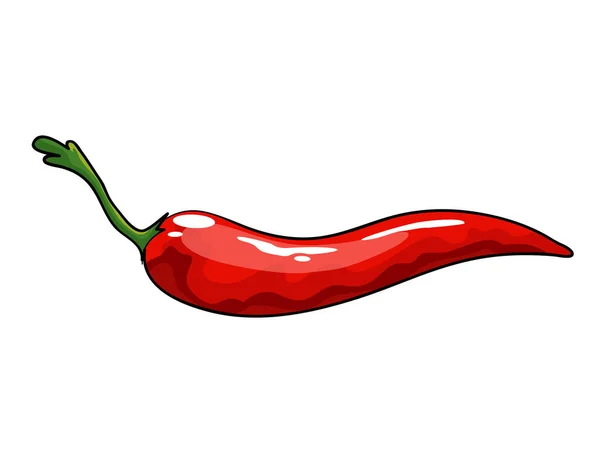 Piment rouge dessiné à la main. Piment mexicain épicé isolé sur fond blanc. Aliments naturels sains. Ingrédient épicé — Image vectorielle