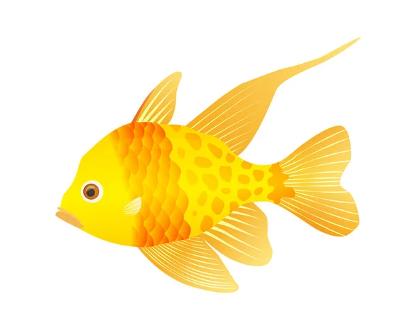 Mare decorativo o pesci d'acquario su sfondo bianco. Pesci dei cartoni animati d'acqua dolce o salata. Varietà di pesci ornamentali popolari. Pesce d'oro — Vettoriale Stock