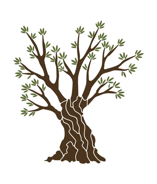 枝や緑の葉のバナーを持つオリーブの木。手の古代ギリシャ語のラベル、自然菜食主義者のお店の看板を描いた。プレミアム品質デザインコンセプト — ストックベクタ
