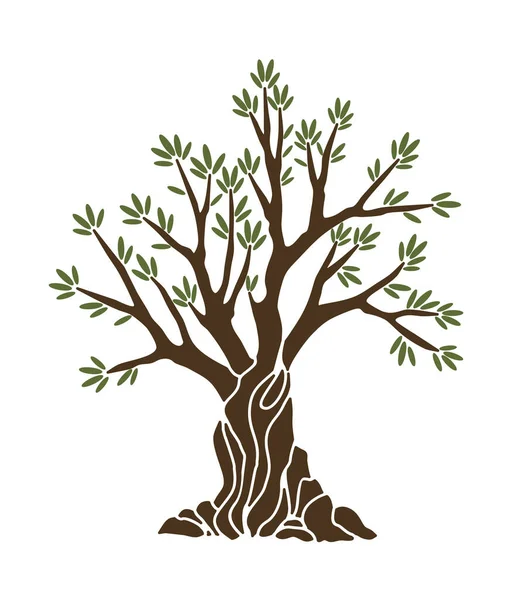 枝や緑の葉のバナーを持つオリーブの木。手の古代ギリシャ語のラベル、自然菜食主義者のお店の看板を描いた。プレミアム品質デザインコンセプト — ストックベクタ