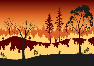 Orman yangını. Yanan yapraklar, meşe ağaçları, yanan ahşap bitkiler. Amazon ve Avustralya 'da orman yangınları.