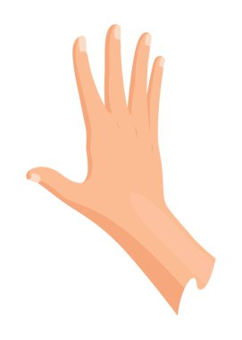 Eller yaralı cilt ve bandaj prosedürleri. Yara için ilk yardım. İlaç tedavisi ya da tedavi. İnsan el travması için ilk acil yardım..