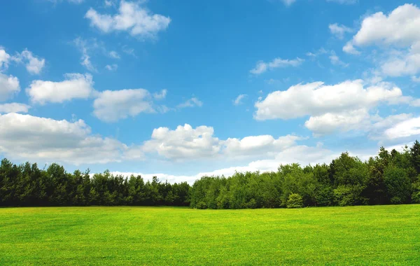 理想的绿场和天空 伟大的背景 — 图库照片