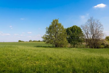 İlkbaharda kırsal bölgelerde tarım ve yeşillik